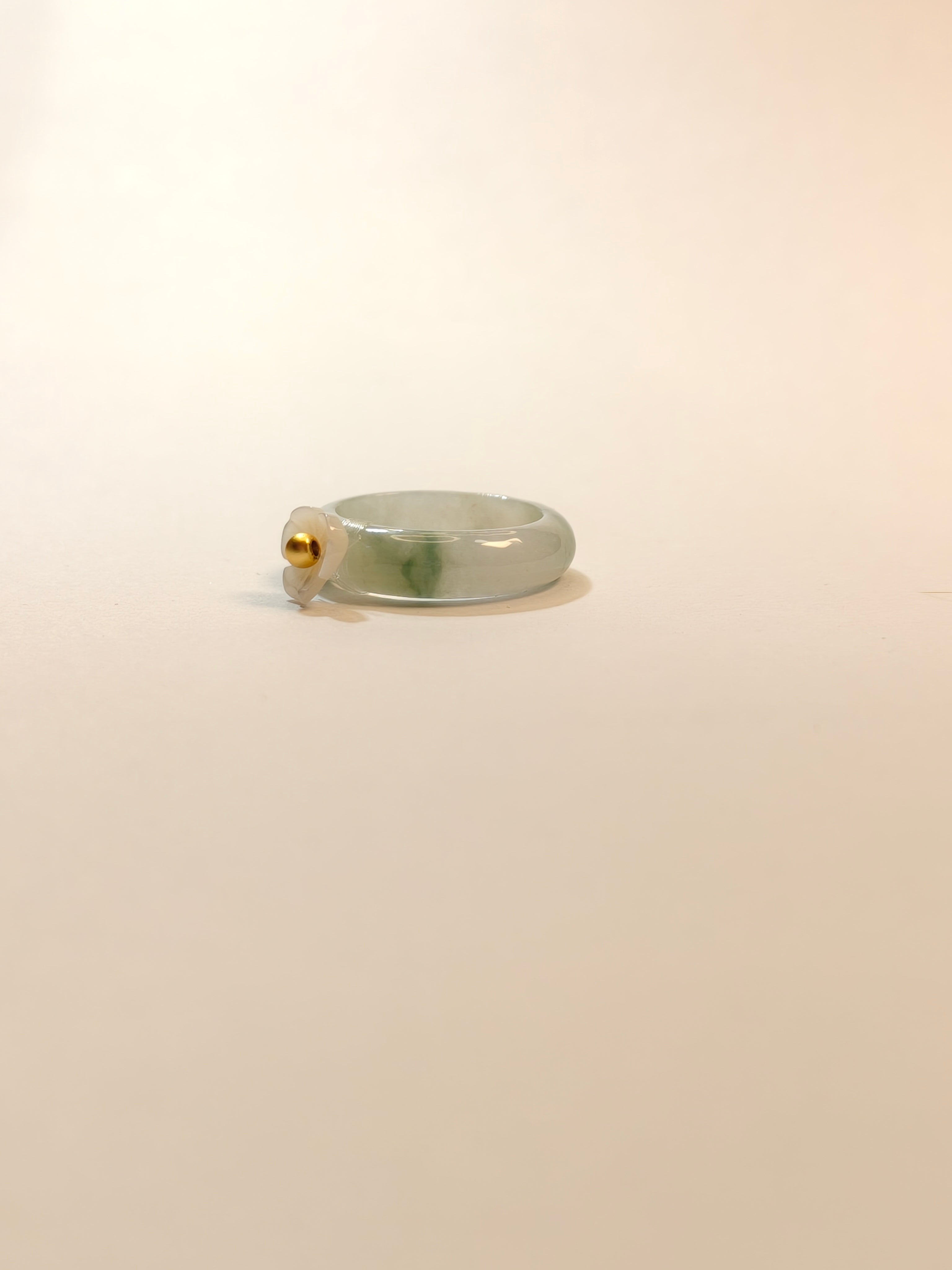 WE minimalist jadeite ring